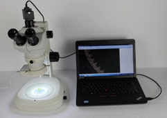 سیستم تحلیل تصویر متالوگرافی CCD دیجیتال 5 مگاپیکسلی H3000
